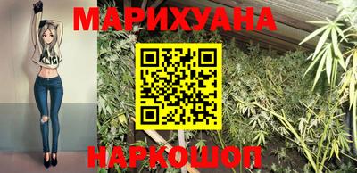 apvp Кингисепп