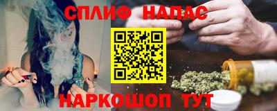 apvp Кингисепп